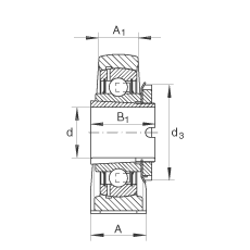 直立式軸承座單元 RASEA40-N, 鑄鐵軸承座，帶緊定套的外球面球軸承，R 型密封