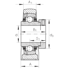 直立式軸承座單元 TSHE30-N, 鑄鐵軸承座，帶偏心鎖圈的外球面球軸承，T 型密封