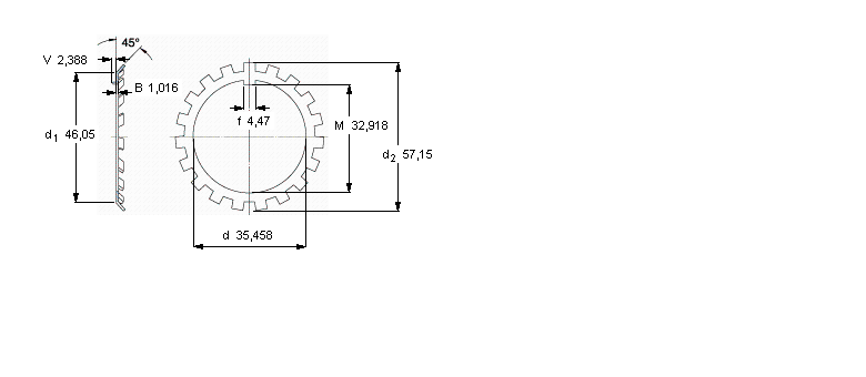 SKF W鎖緊墊圈, 英制尺寸W07樣本圖片